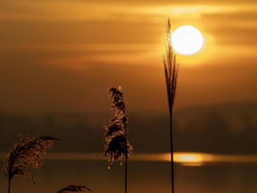Este fenómeno astronómico se produce cuando el hemisferio norte recibe la mayor inclinación hacia el Sol. CANVA