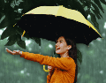 Las precipitaciones más intensas y los mayores acumulados de agua se concentrarán principalmente durante los atardeceres y las primeras horas de la noche. ESPECIAL / CANVA