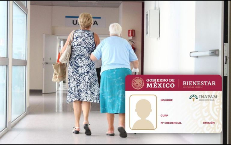 Pequeños errores al presentar o utilizar la credencial pueden convertirse en obstáculos para acceder a los apoyos disponibles. PIXABAY/ESPECIAL
