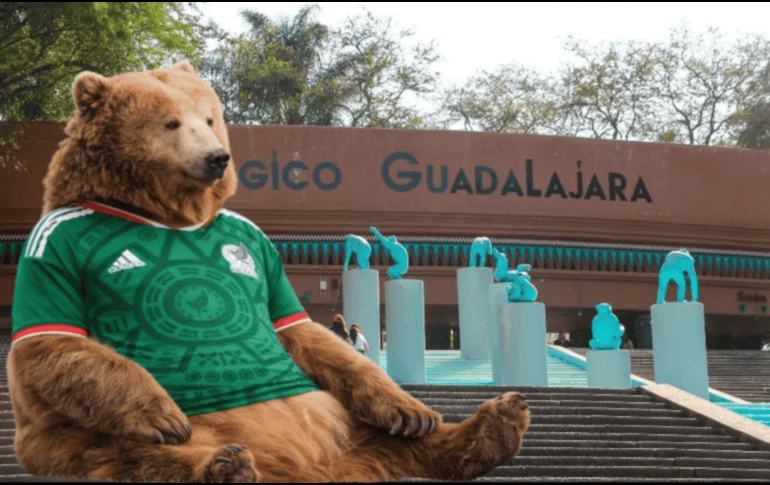 Si planeas aprovechar esta increíble promoción, te recordamos que el Zoológico Guadalajara se encuentra muy cerca de la Barranca de Huentitán. ESPECIAL/ EL INFORMADOR/ ARCHIVO/ Unsplash