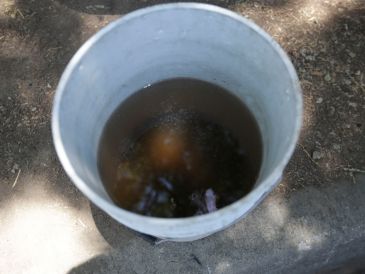 Los reportes por mala calidad del agua ante el SIAPA se incrementaron durante los primeros meses de 2026. EL INFORMADOR/ARCHIVO
