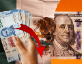Este miércoles 24 de junio, el precio del dólar FIX se ubica en 17.5505 pesos. UNSPLASH / J. BORBA / UNSPLASH / A. V