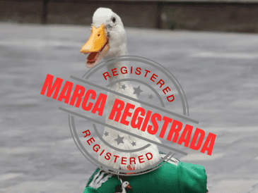Pato Merlín, que en los últimos meses ganó notoriedad en redes sociales, ya cuenta con un registro ante el Instituto Mexicano de la Propiedad Industrial (IMPI). ESPECIAL