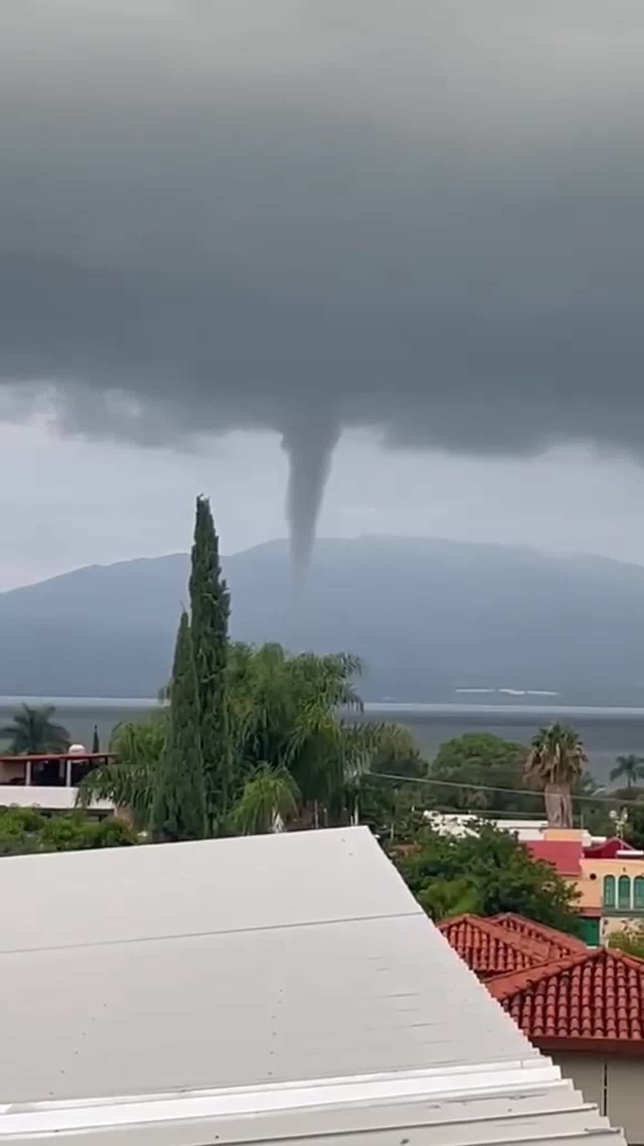 Culebra de agua sorprende a habitantes de Chapala