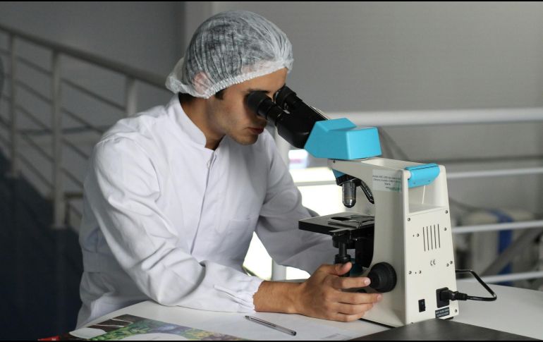 Cada vez hay más estudios e investigaciones sobre enfermedades como el cáncer. UNSPLASH / L. VASQUES
