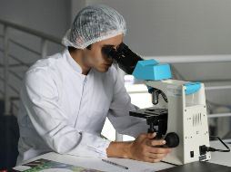 Cada vez hay más estudios e investigaciones sobre enfermedades como el cáncer. UNSPLASH / L. VASQUES
