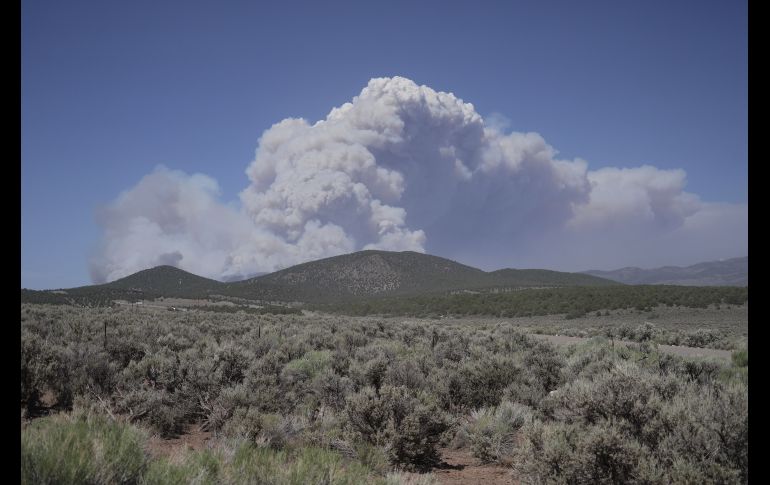 Una columna de humo se eleva desde el incendio de Cottonwood, cerca de Beaver, Utah. AP/T. O'Neil