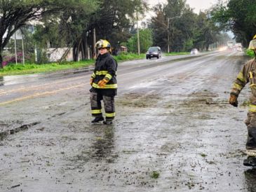 Protección Civil y Bomberos de Tlajomulco se encargó de retirar los árboles caídos y restablecer la circulación vial. CORTESÍA