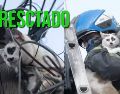 Así se logró el rescate de un gatito en la colonia Analco. ESPECIAL / FACEBOOK Protección Civil y Bomberos GDL