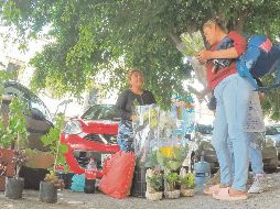 El comercio ambulante y los micronegocios forman parte del sector informal, uno de los principales motores del crecimiento económico del país. EL INFORMADOR