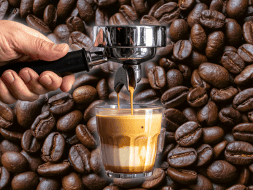 Conceptos como espresso, barista, molino de café, portafiltro, tamper y extracción forman parte del lenguaje cotidiano del café de especialidad y ayudan a entender por qué una pequeña modificación puede transformar por completo el sabor de la bebida.  CANVA