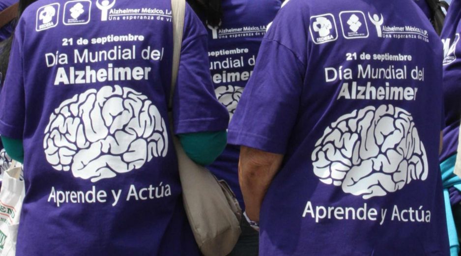 Una investigación analizó cómo la nutrición impacta directamente en la salud cerebral. NTX / ARCHIVO