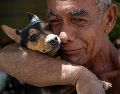 Un hombre abraza a su perro rescatado de los escombros de un edificio afectado por los terremotos, este miércoles, en La Guaira, Venezuela. EFE/ R. Peña