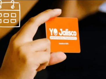 El proceso corresponde al periodo vigente de marzo de 2026 y representa un requisito indispensable para mantener activo el apoyo. ESPECIAL