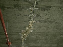 El salitre es una acumulación de sales minerales que emerge a la superficie de muros, techos o pisos cuando existe humedad en el interior de los materiales de construcción. ESPECIAL/Canva