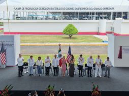 Confían en que planta de mosca estéril ayude a frenar casos de gusano barrenador en Jalisco. ESPECIAL/Sader Jalisco