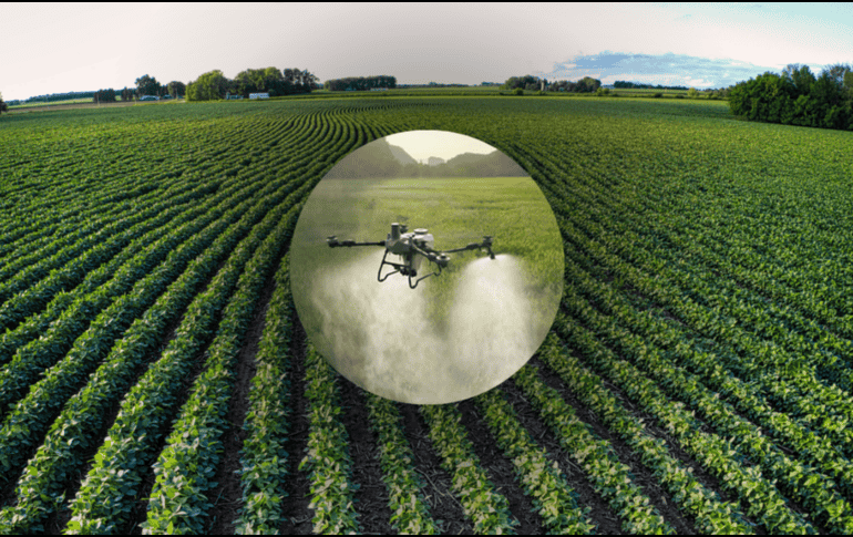 La agricultura de precisión promete reducir el consumo de agua fertilizantes y pesticidas. SUN / CANVA / ESPECIAL