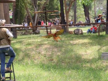 La emoción del futbol y la diversión se unen en esta increíble promoción del Zoológico Guadalajara. INSTAGRAM/zoologicoguadalajara