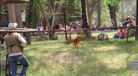 La emoción del futbol y la diversión se unen en esta increíble promoción del Zoológico Guadalajara. INSTAGRAM/zoologicoguadalajara