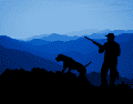 El desgaste físico de los perros de caza exige un enfoque nutricional distinto al de los animales de compañía tradicionales. CANVA / ESPECIAL