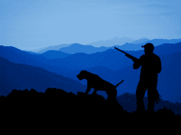 El desgaste físico de los perros de caza exige un enfoque nutricional distinto al de los animales de compañía tradicionales. CANVA / ESPECIAL