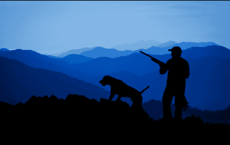 El desgaste físico de los perros de caza exige un enfoque nutricional distinto al de los animales de compañía tradicionales. CANVA / ESPECIAL