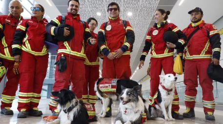 El grupo estuvo integrado por elementos de la Cruz Roja, Bomberos, el Escuadrón de Topos, brigadistas de Rescate y Protección Civil, acompañados de 14 binomios caninos. ESPECIAL/SRE