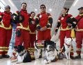 El grupo estuvo integrado por elementos de la Cruz Roja, Bomberos, el Escuadrón de Topos, brigadistas de Rescate y Protección Civil, acompañados de 14 binomios caninos. ESPECIAL/SRE