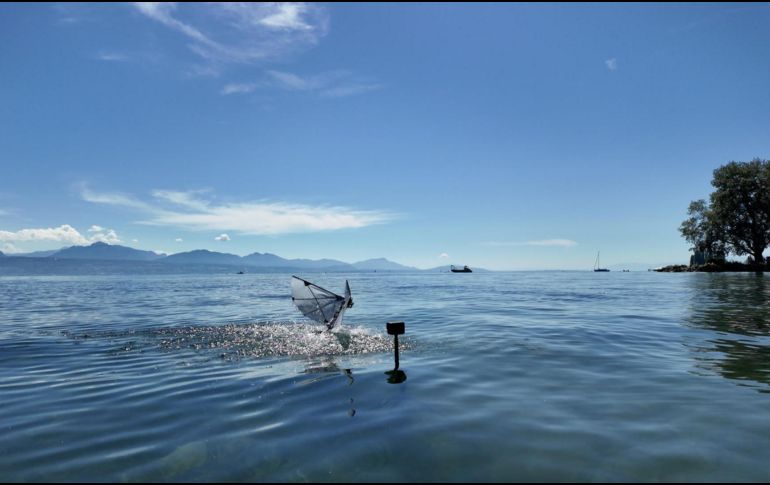 Un robot de alas batientes pasa del agua al aire en un lago natural. Fotografía facilitada por Rafael Zufferey