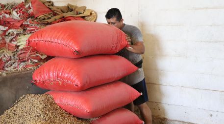 Según datos de la ANAM el país importó 19,93 millones de toneladas de granos y oleaginosas durante los primeros cinco meses de 2026. EFE / ARCHIVO