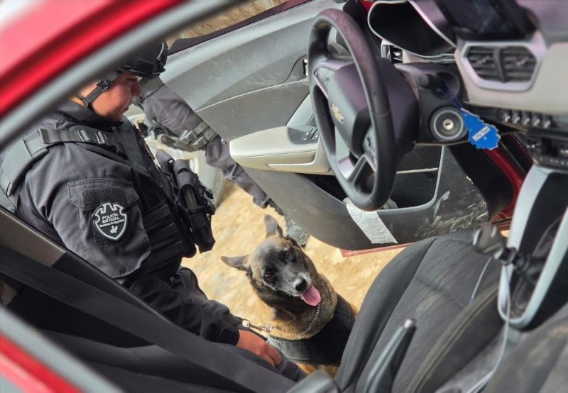 &nbsp;SECRETARÍA DE SEGURIDAD