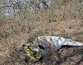 La aeronave se dirigía a San Andros cuando se desplomó. EL INFORMADOR/ARCHIVO