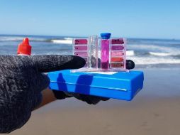La razón detrás del dictamen de las playas no aptas está relacionada con la presencia de altas concentraciones de bacterias enterococos en el agua de mar. ESPECIAL / Cofepris