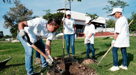 Con la siembra, la cobertura foliar del Parque Luis Quintanar pasa a 33.5 por ciento de su área total. ESPECIAL