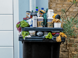 ¿Cómo quitar el mal olor del bote de basura? Paso a paso