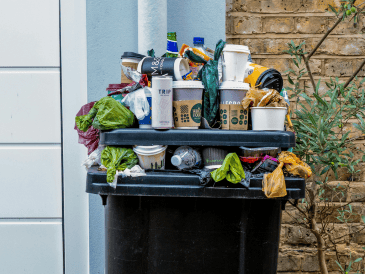 ¿Cómo quitar el mal olor del bote de basura? Paso a paso