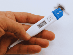 Además del dolor detrás de los globos oculares, la infección se manifiesta con una fiebre alta y repentina que puede superar los 40 grados centígrados. ESPECIAL / CANVA