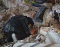 Desde el pasado 24 de junio, se han presentado mil 254 réplicas en Venezuela. EFE/ARCHIVO