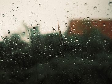 Descubre las mejores estrategias y recomendaciones de las autoridades para mantenerte seguro durante la actual temporada de lluvias y evitar riesgos innecesarios. Pexels