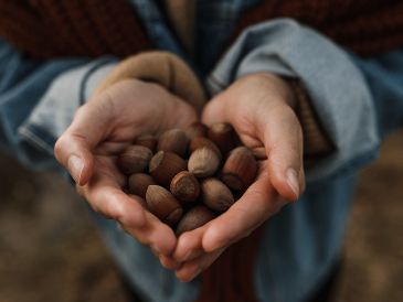 Aunque no lo creas, las avellanas tienen muchísimos beneficios si las consumes de manera responsable. ESPECIAL/PEXELS