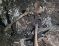 El hallazgo, que incluye vasijas cerámicas, abre una nueva ventana para entender las antiguas culturas de la región. ESPECIAL/INAH