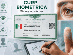 La implementación del nuevo documento se realiza de forma gradual, por lo que actualmente el servicio solo está disponible en algunos Estados del país. IA