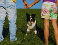 Los perros han pasado de ser considerados simples animales de compañía a ocupar el lugar de verdaderos "perrhijos", recibiendo un nivel de atención y cuidado que antes se reservaba a los humanos. ESPECIAL / CANVA