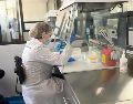 Los días 20 y 21 de agosto se promoverá una práctica pericial con enfoque en derechos humanos, ética y atención a las víctimas. ESPECIAL