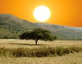 La canícula se caracteriza por una drástica disminución de la nubosidad y de las precipitaciones en pleno verano. ESPECIAL / CANVA