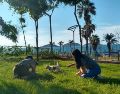 Otros espacios abiertos ideales para descubrir en compañía de tu lomito son el Parque Central de Mazatlán, que permite el acceso con correa para una recreación segura. CORTESÍA/Turismo Mazatlán