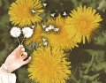 Descubre el significado oculto al soplar un diente de león. ESPECIAL/Canva
