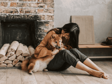 La presencia de un perro o un gato funciona en la práctica como un regulador emocional. CANVA