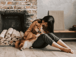 La presencia de un perro o un gato funciona en la práctica como un regulador emocional. CANVA
