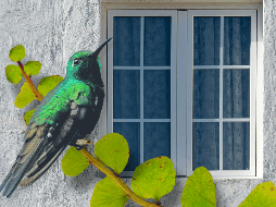 Crear un jardín para colibríes no solo embellece el hogar, sino que contribuye a la conservación de estas aves y de los ecosistemas locales. ESPECIAL/Canva